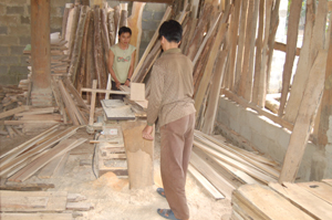 Hộ gia đình ở xã Dũng Phong (Cao Phong) phát triển kinh tế gia đình.